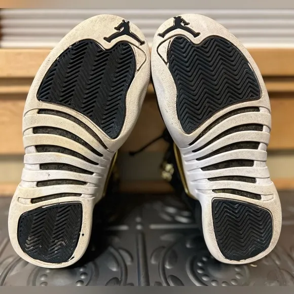 🏀 🐲☑️Nike Air Jordan XII / 12 | Retro Reptile 2019 | Midnight Black Gold White