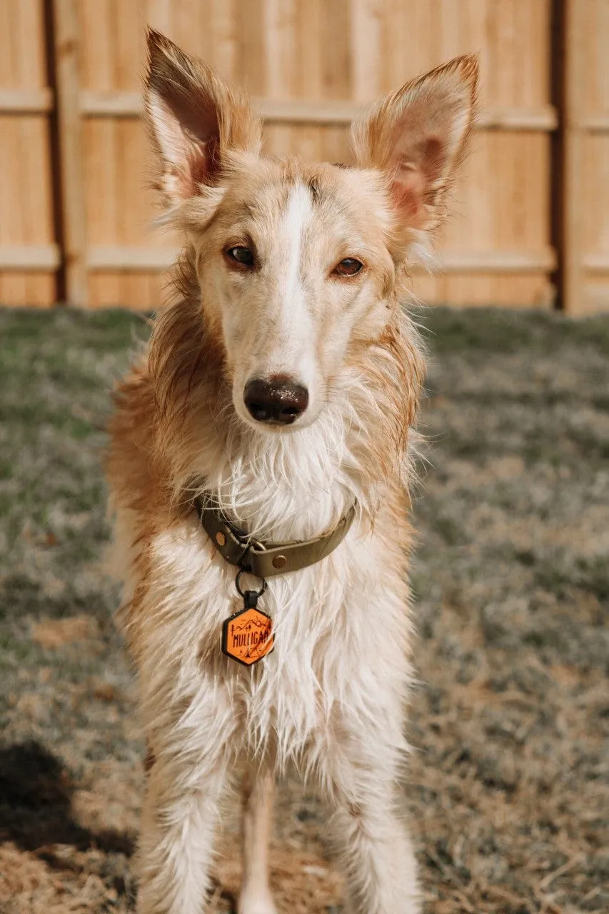 Adventure Is Calling Silicone ID Tag