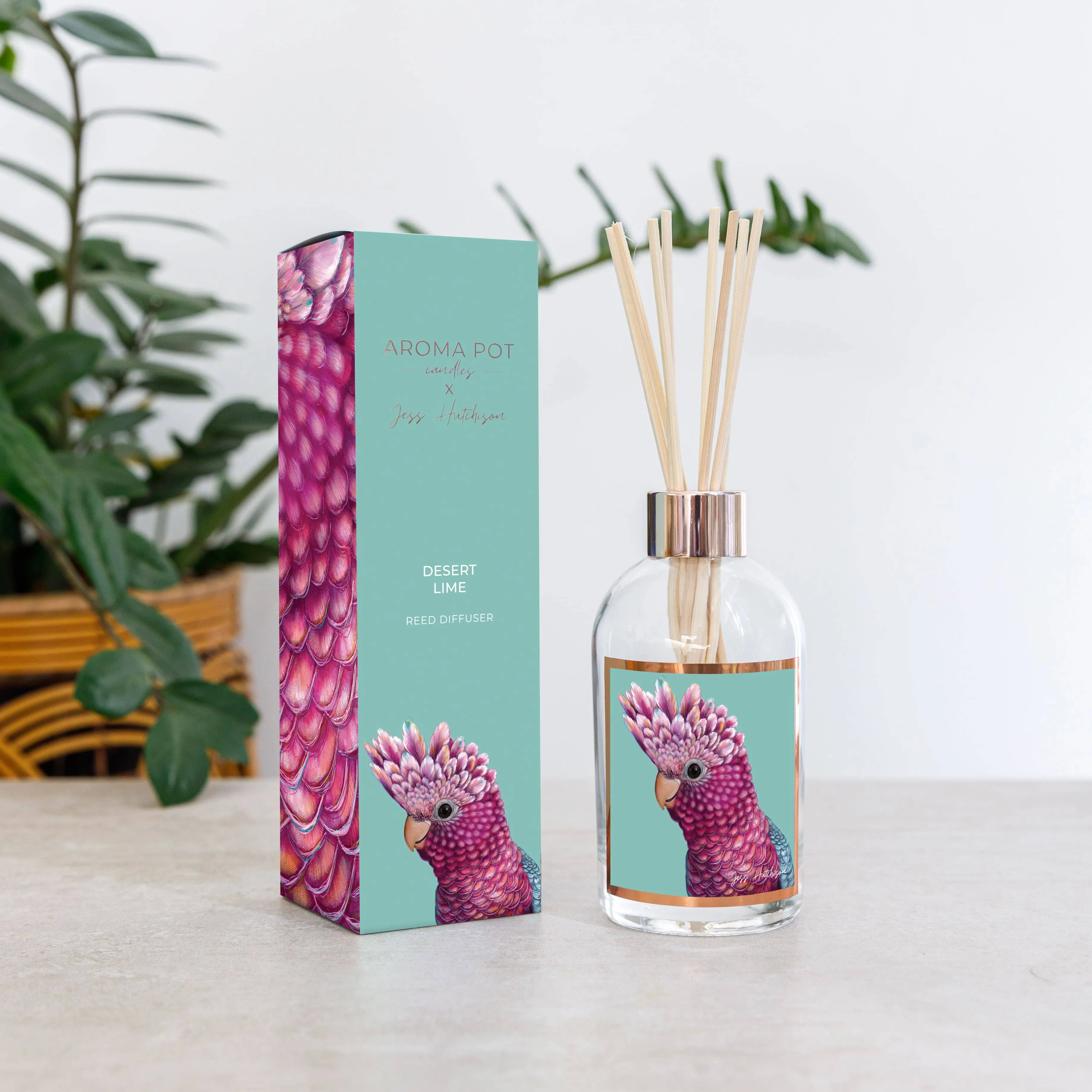 Aroma Pot - 200ml Australian artist reed diffuser - Desert Lime