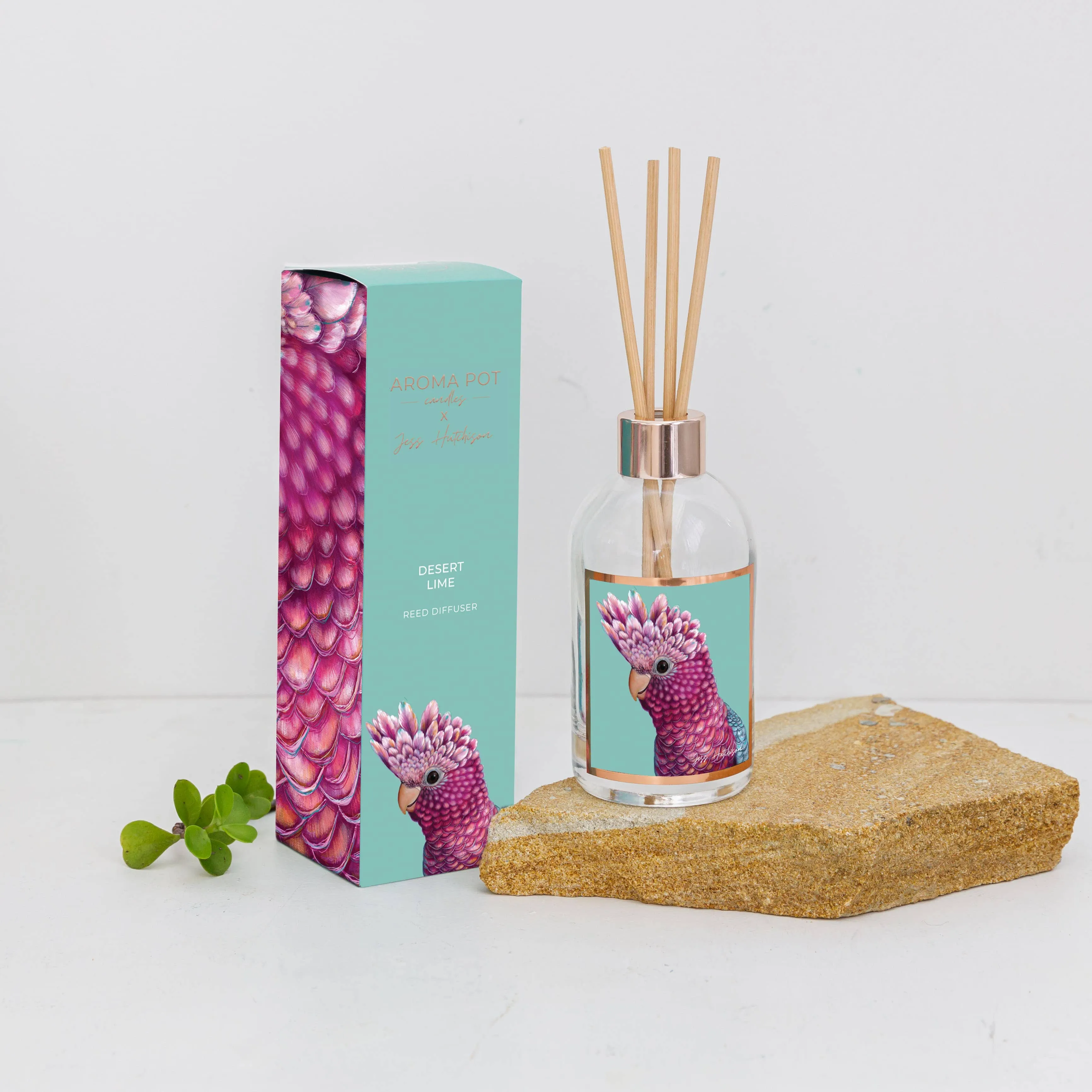 Aroma Pot - 200ml Australian artist reed diffuser - Desert Lime