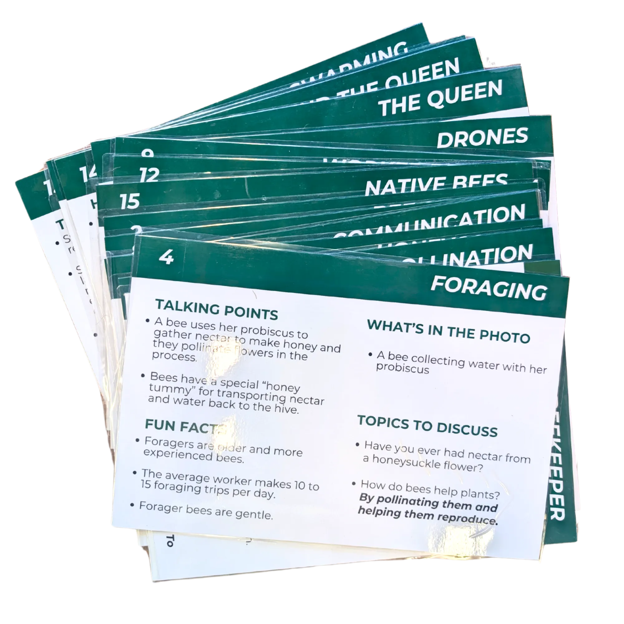 Educational Beekeeping Cards