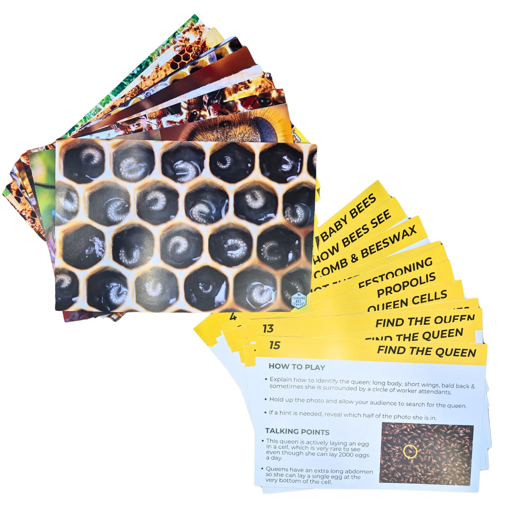 Educational Beekeeping Cards
