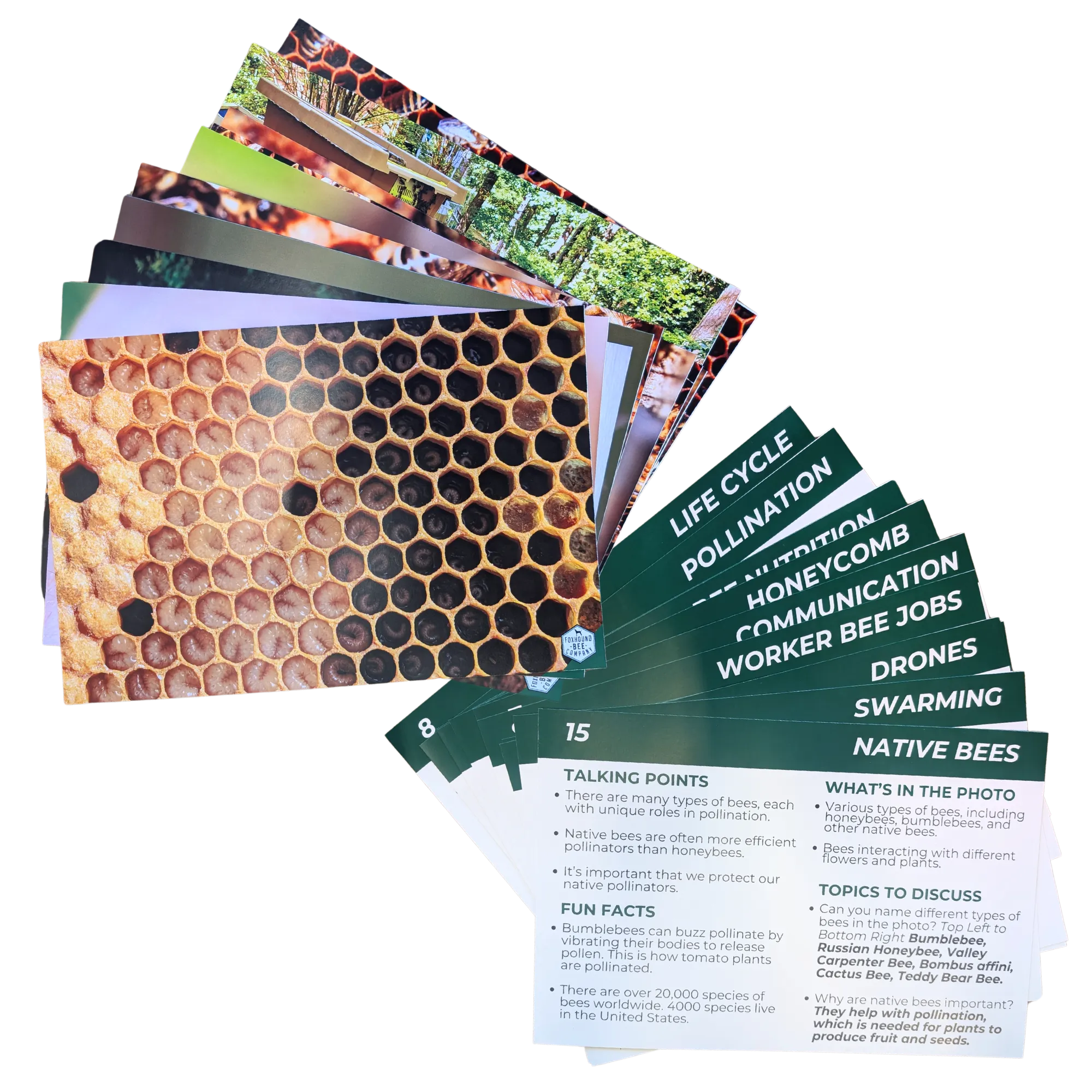 Educational Beekeeping Cards
