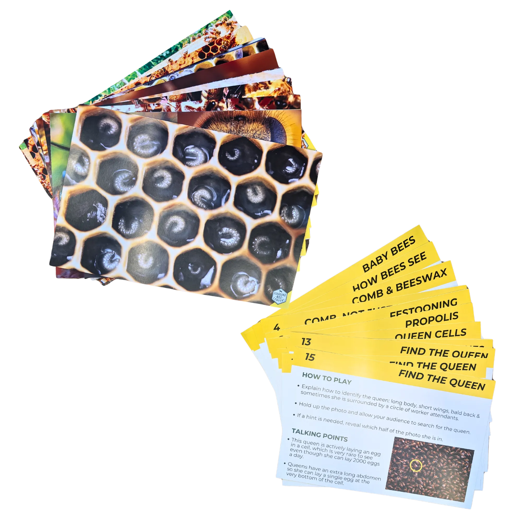 Educational Beekeeping Cards