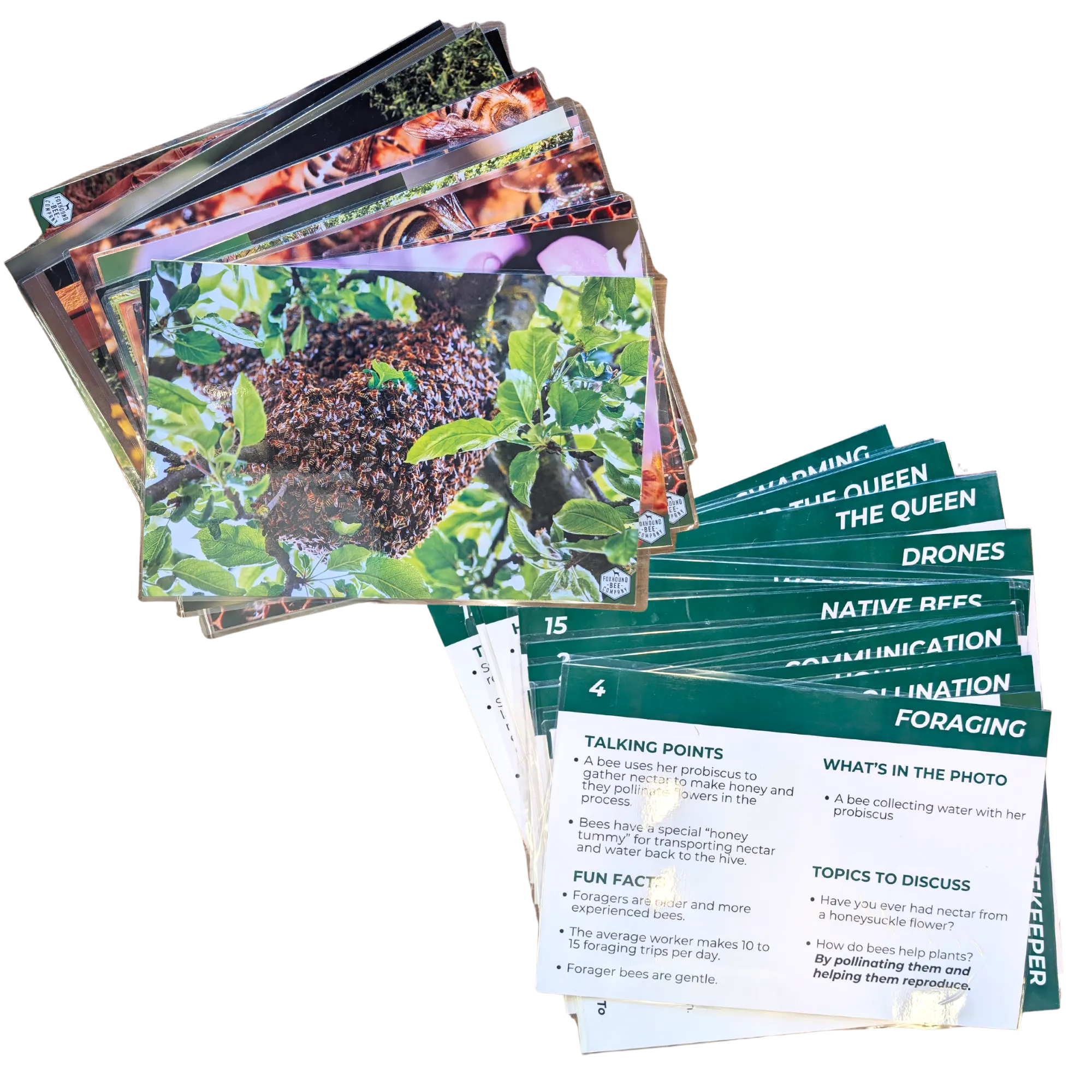 Educational Beekeeping Cards