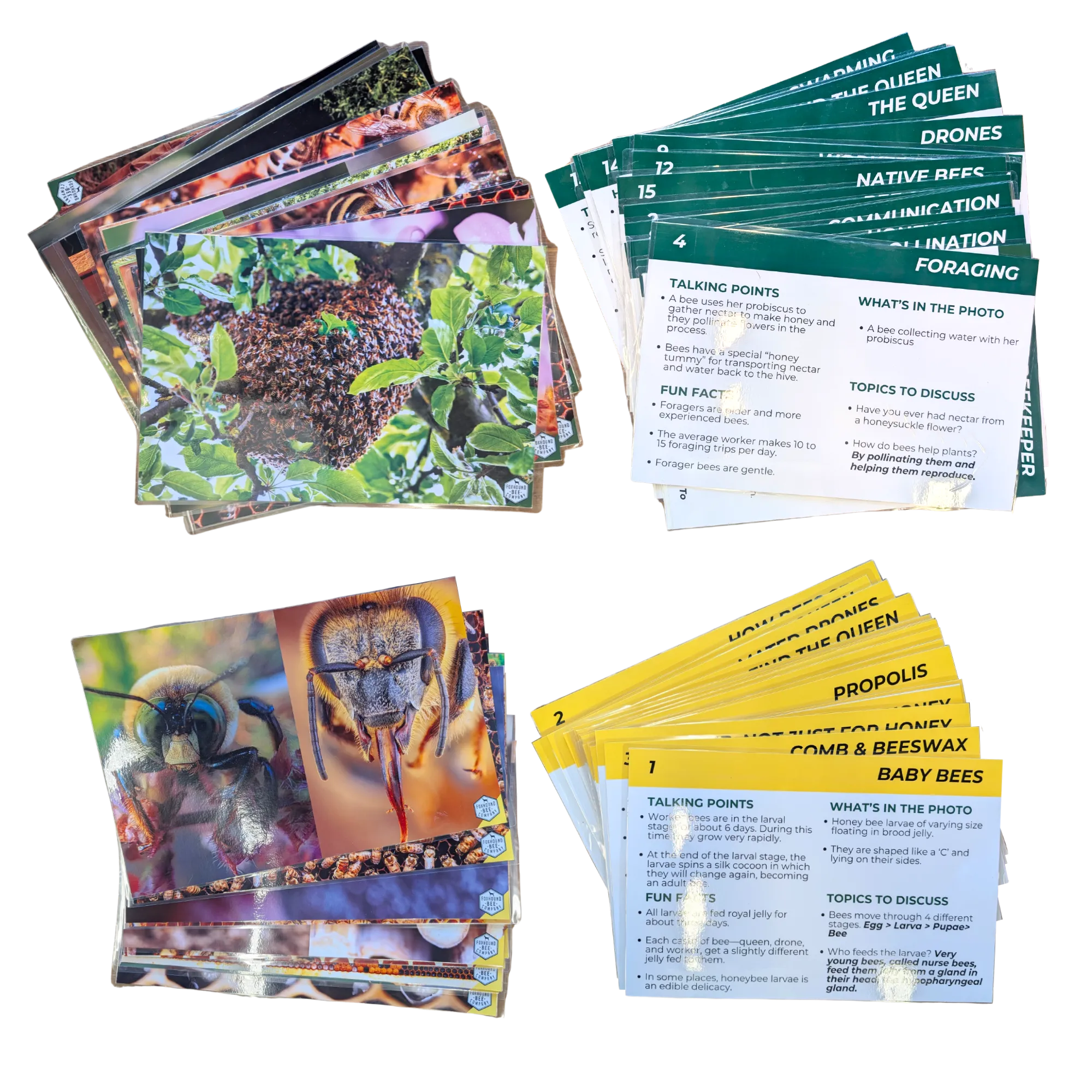 Educational Beekeeping Cards