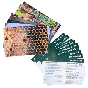 Educational Beekeeping Cards