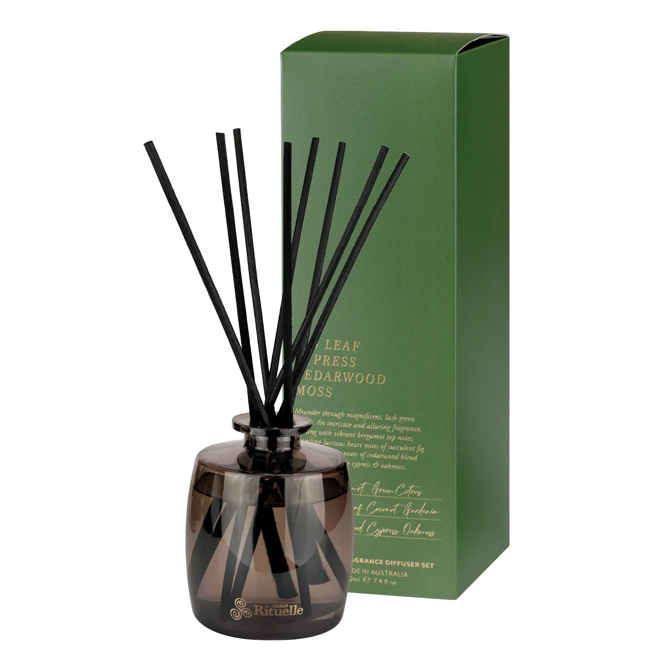 Fig Leaf, Cypress, Cedarwood, Moss Fragrance Diffuser Set | 220ml