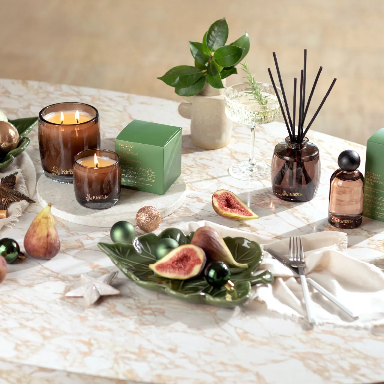 Fig Leaf, Cypress, Cedarwood, Moss Fragrance Diffuser Set | 220ml