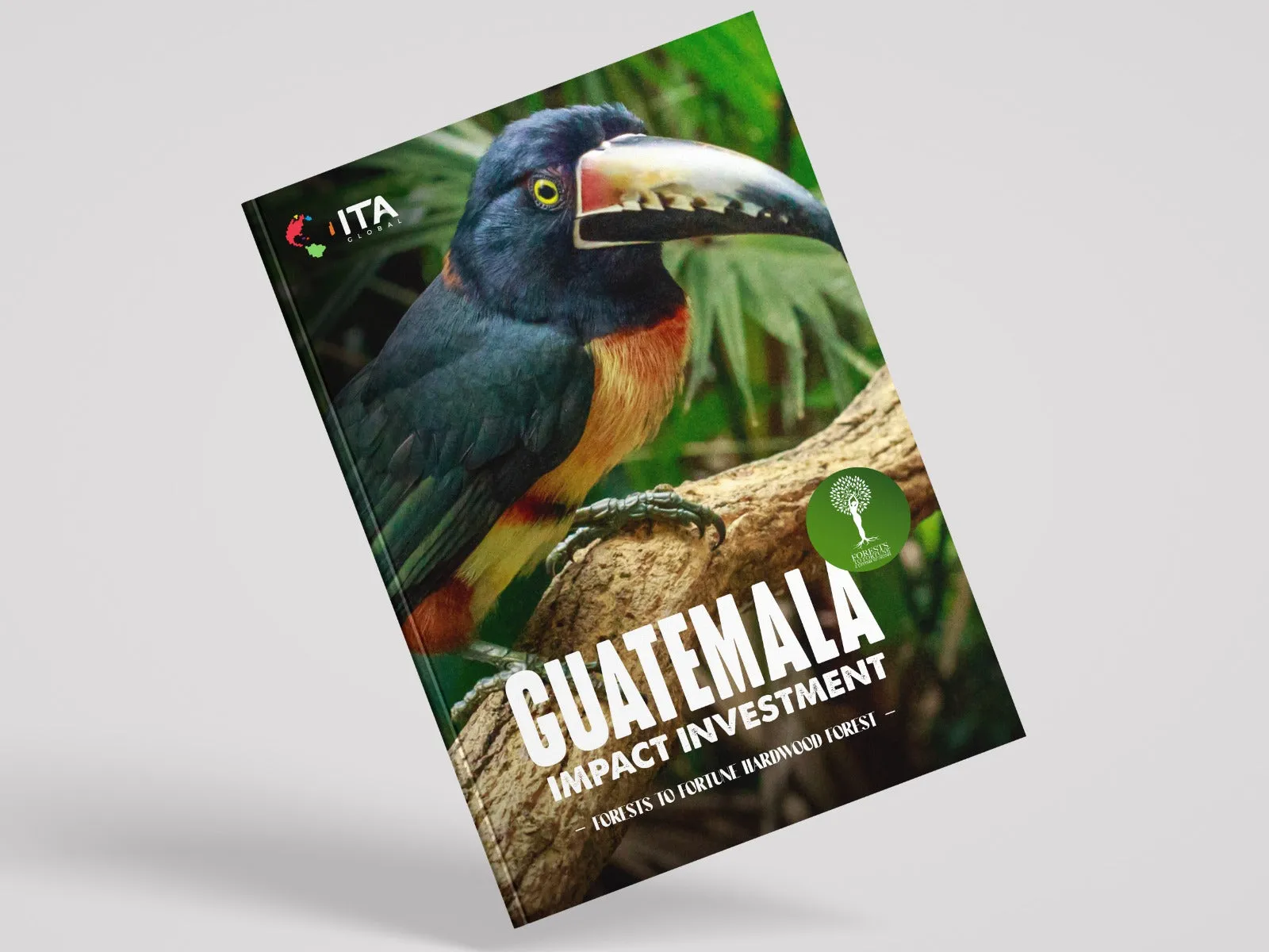 Guatemala Impact Investment Tour 2025