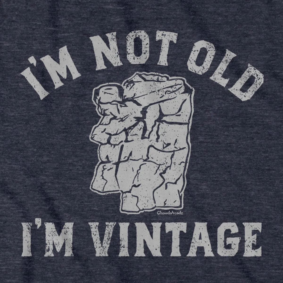 I'm Not Old I'm Vintage Old Man T-Shirt