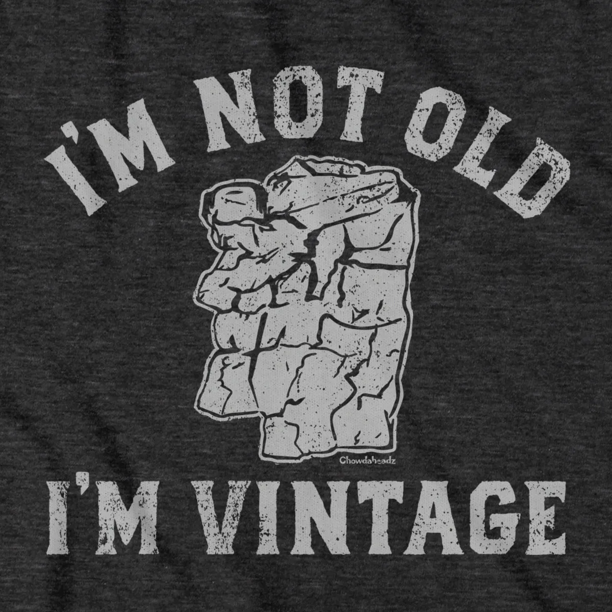 I'm Not Old I'm Vintage Old Man T-Shirt