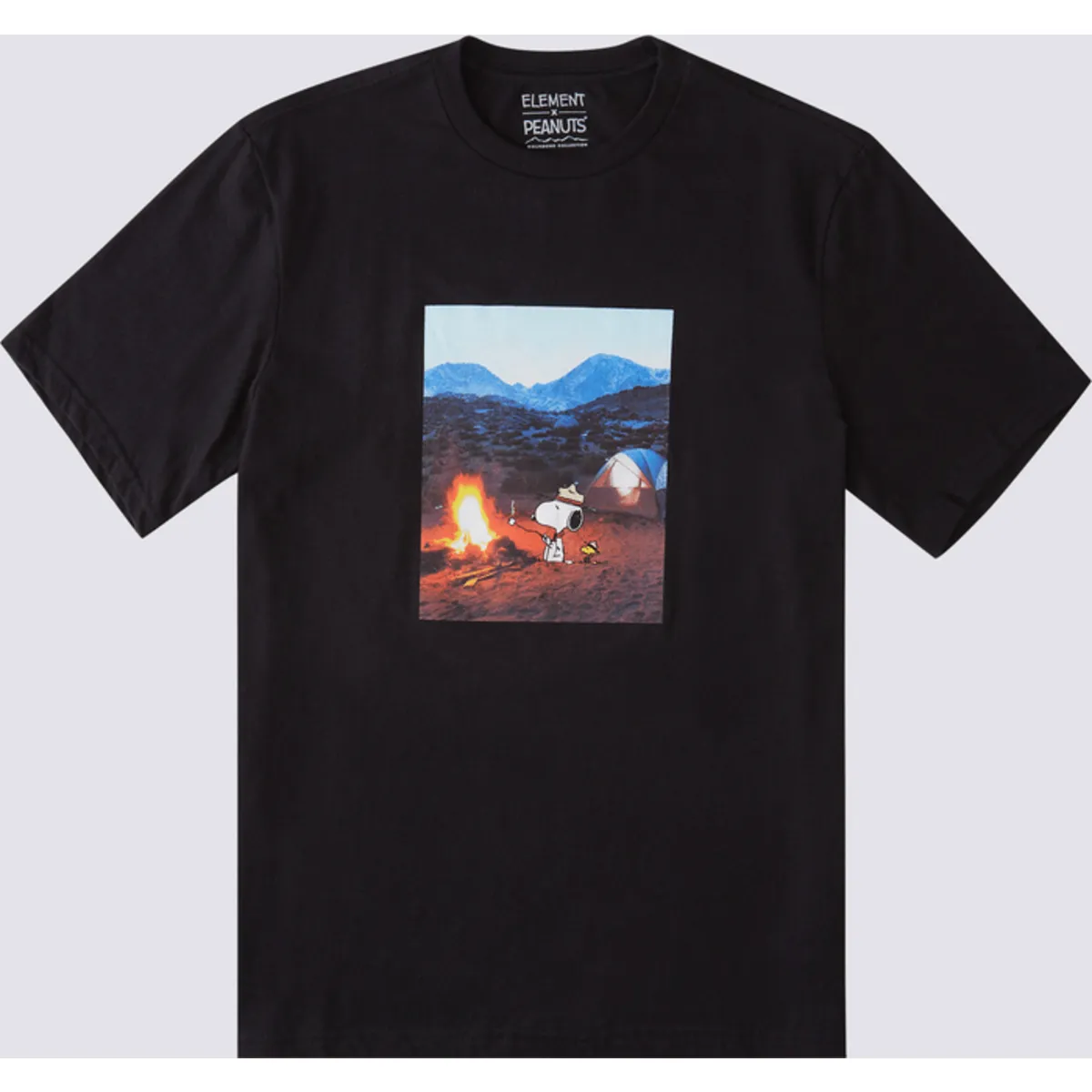PEANUTS ADVENTURE SS