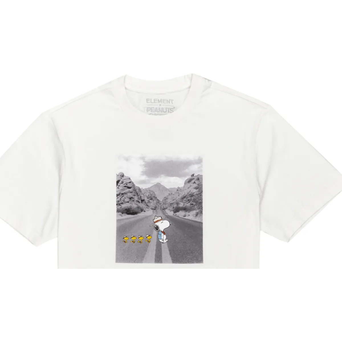 PEANUTS ADVENTURE SS