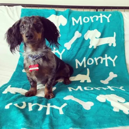 Personalized Dachshund Fleece Blanket