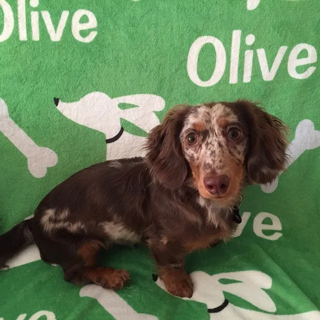 Personalized Dachshund Fleece Blanket