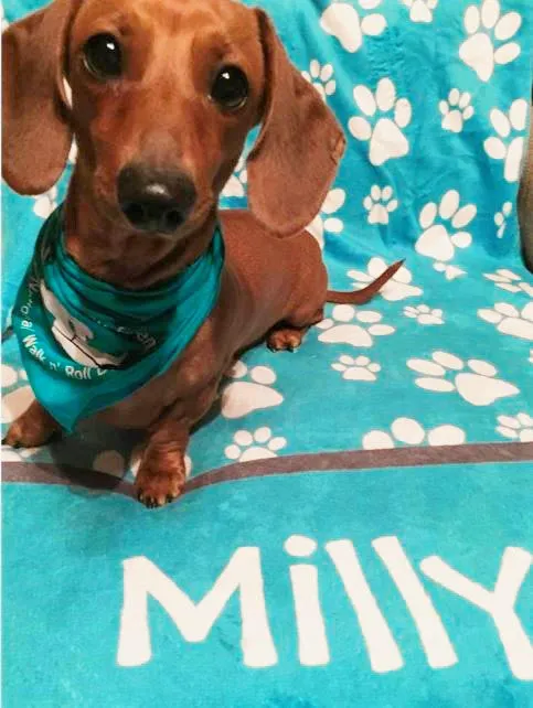 Personalized Dog Blanket - Paw Prints