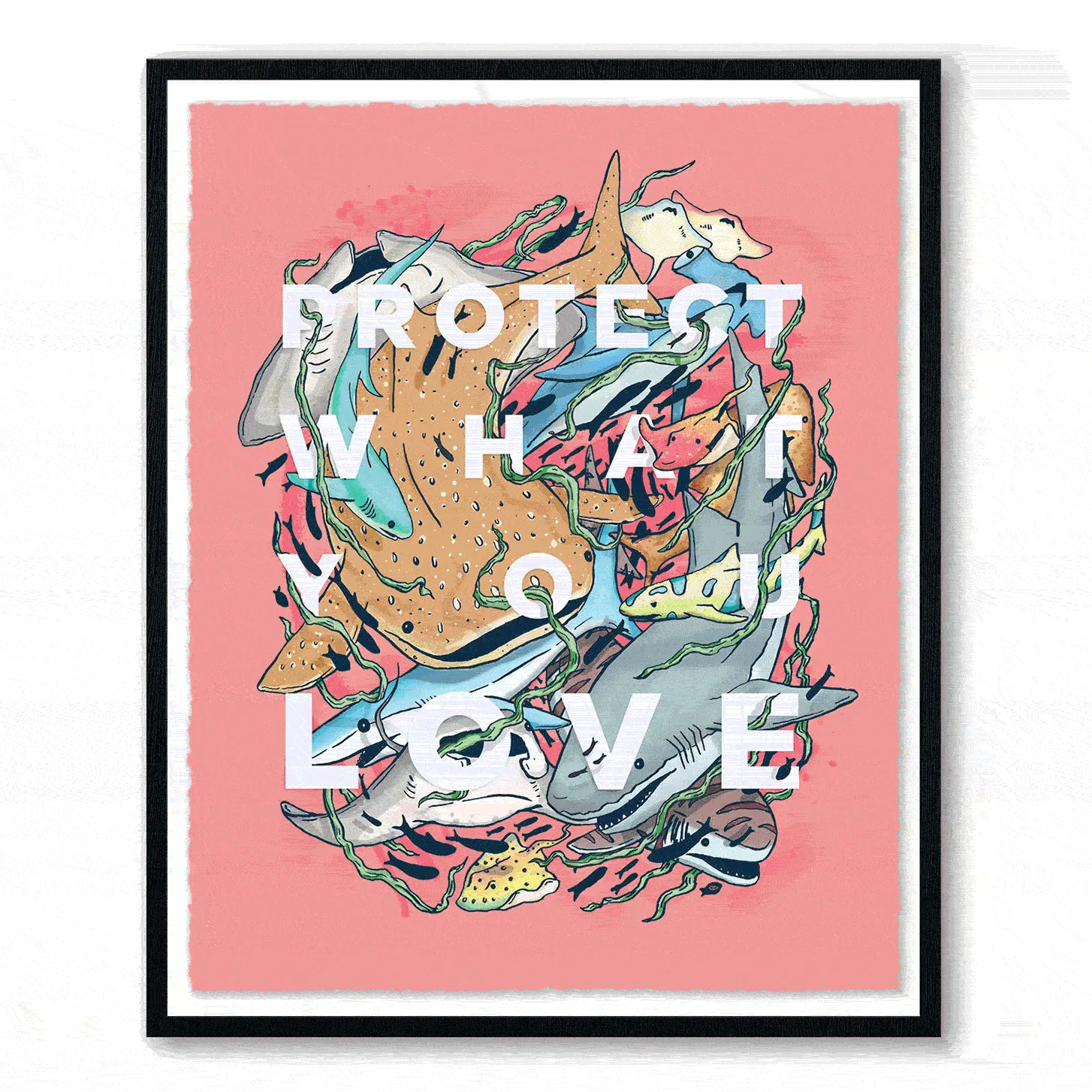 Protect What You Love: Sharks & Rays