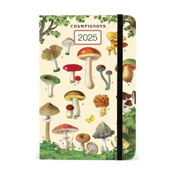 Weekly 2025 Planner