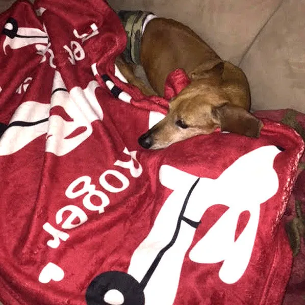 Wheelie Dog IVDD Blanket